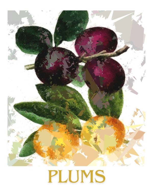 "Plums" Vintage Fruit Print Redesigned - Two Sizes
