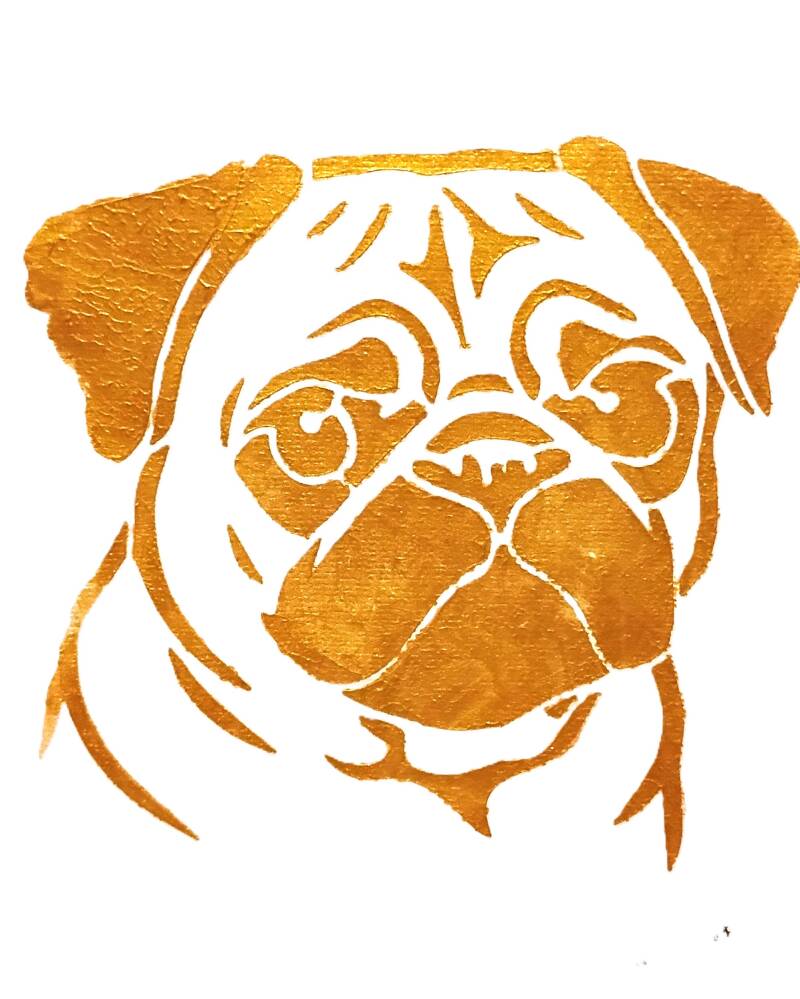 pug-standard-prgihu.jpg