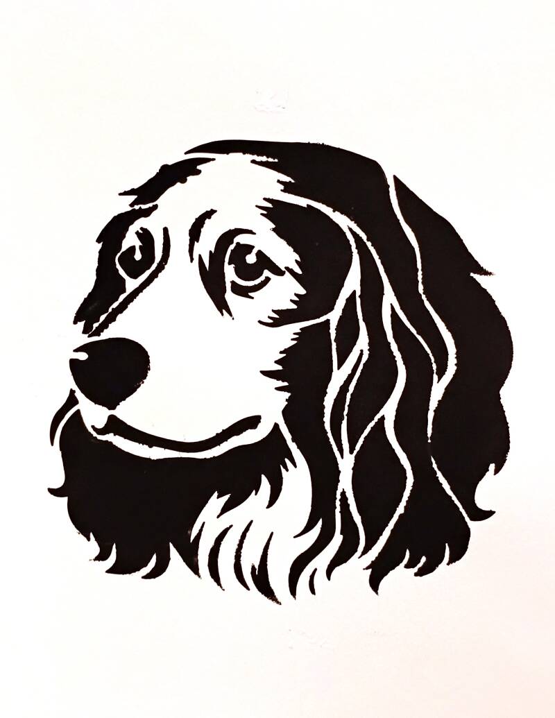 spaniel-large-black-standard-hogesi.jpg