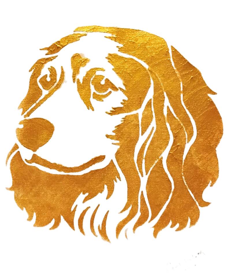 spaniel-standard-ulrwlq.jpg