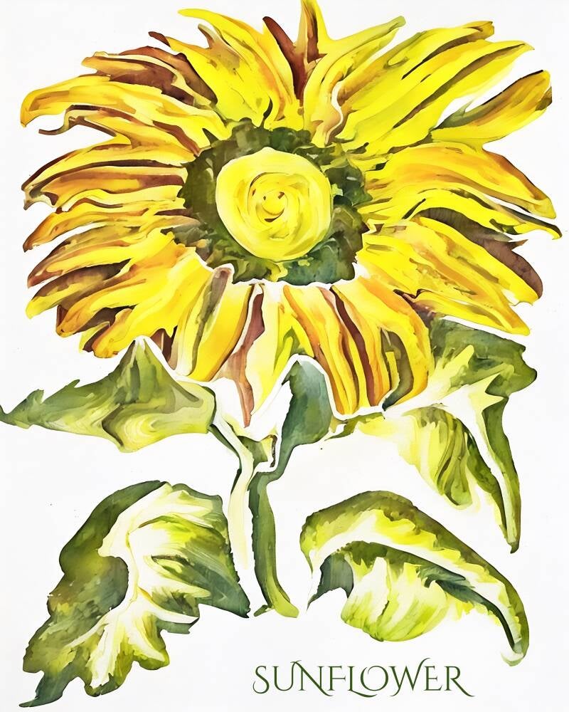sunflower-standard-ivrt9d.jpg