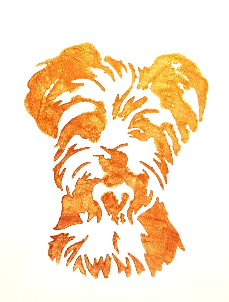 terrier-large-gold-standard-wptld1.jpg