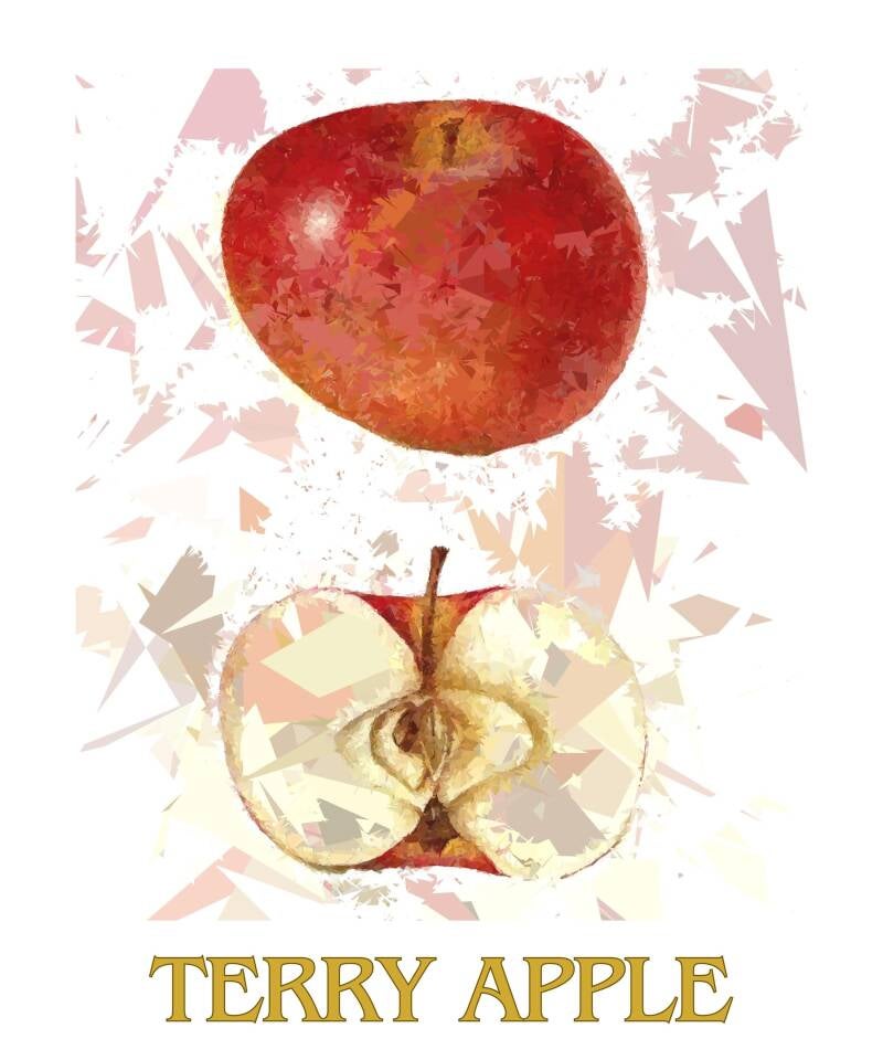 terry-apple-2-standard-3ced1z.jpg
