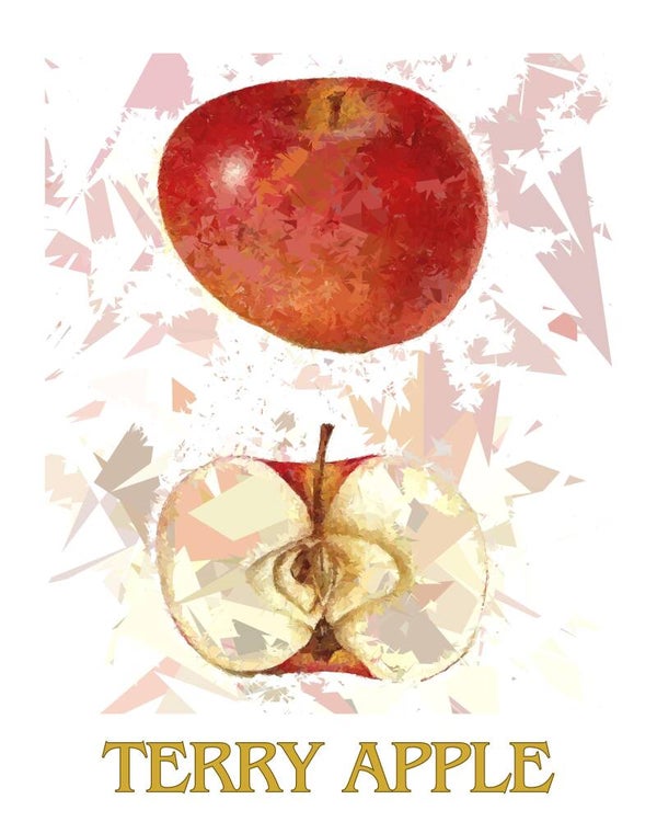 "Terry Apple" Vintage Fruit Print Redesigned - Two Sizes