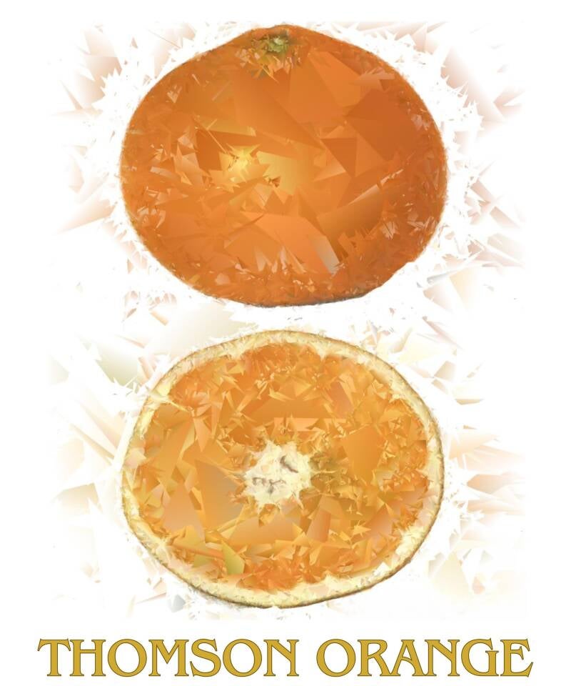 thomson-orange-standard-qyj3fp.jpg