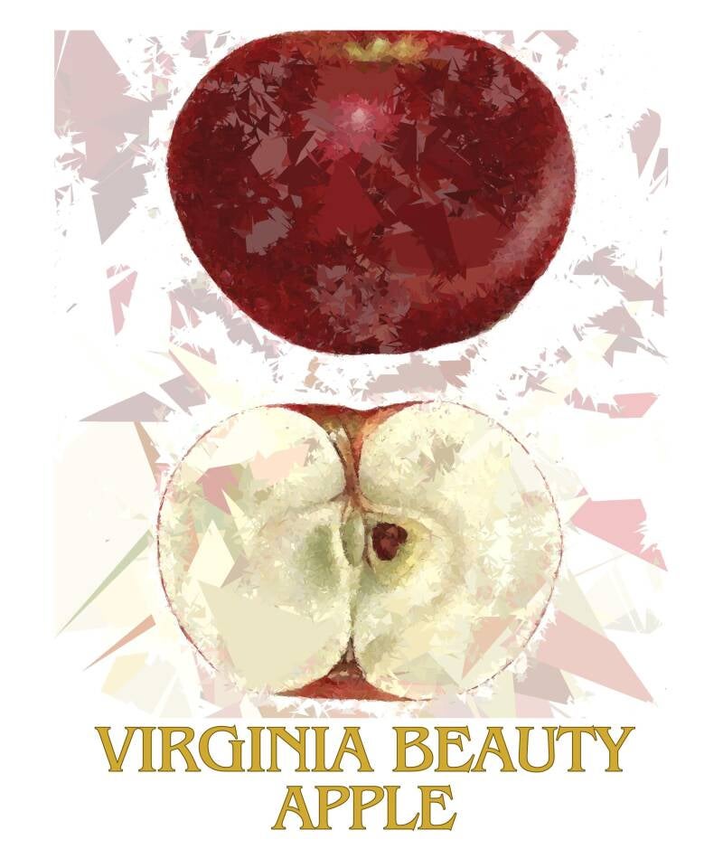 virginia-beauty-1-standard-ufrqjh.jpg