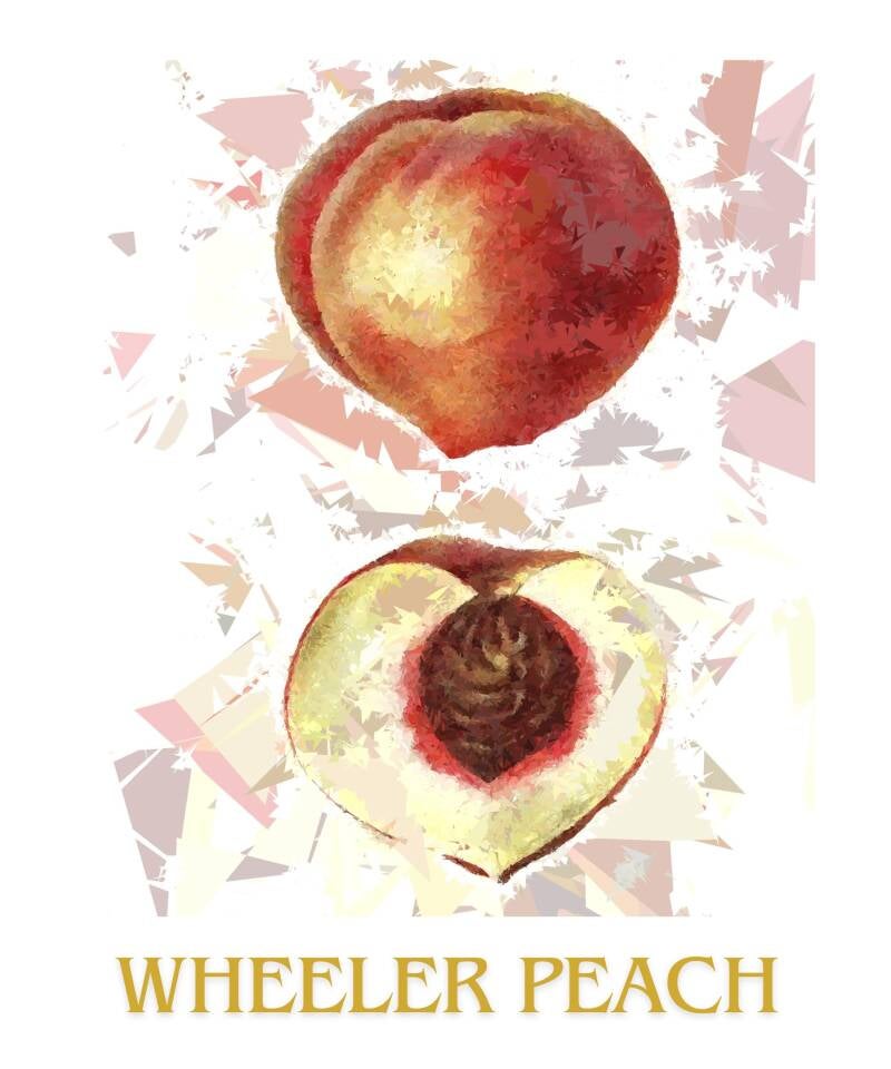 wheeler-peach-1-standard-4mlmhk.jpg