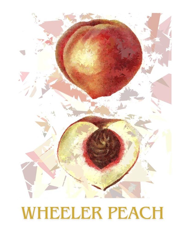 "Wheeler Peach" Vintage Fruit Print Redesigned - Two Sizes