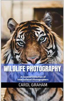 wildlife-standard.jpg