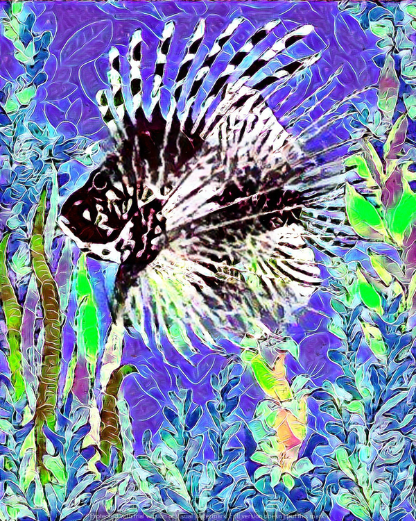"Zebra Fish" Whimsical Design Print in 8 x 10 White Beveled Mat