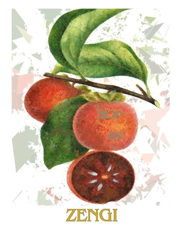 "Zengi" Vintage Fruit Print Redesigned - Two Sizes
