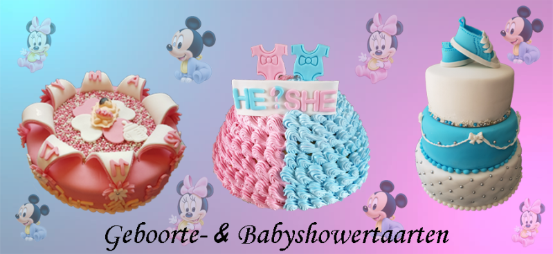 babyshower / gender reveal