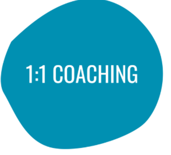 1 op 1 coaching op locatie ( Amsterdam, Den Haag, Harderwijk, Lelystad of Zwolle) 1,5 uur