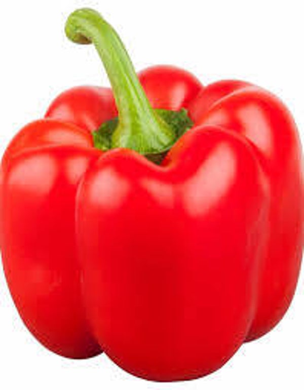 paprika rood