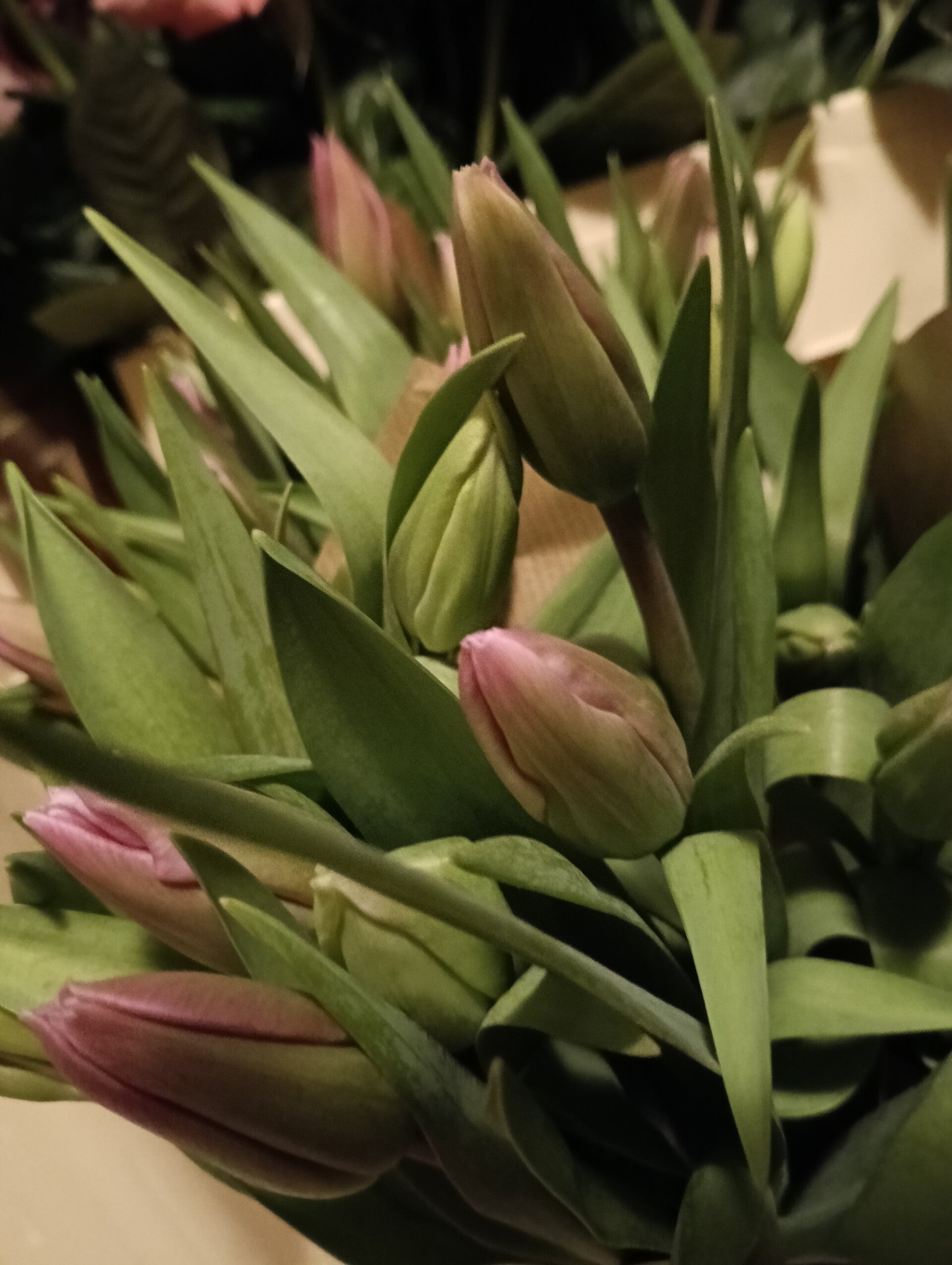 Boeket Tulpen roze