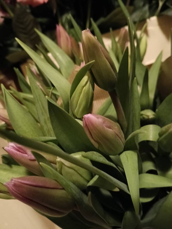 Boeket Tulpen roze