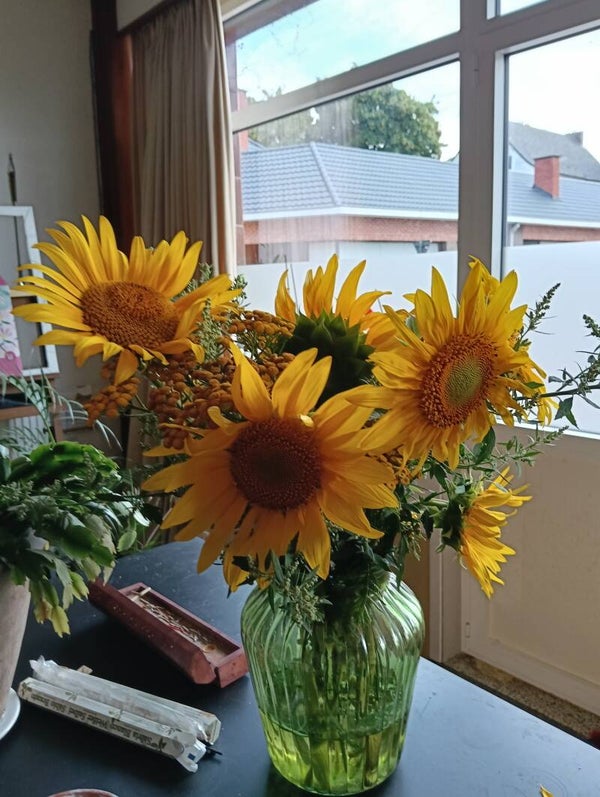 Zonnebloemen 🌻