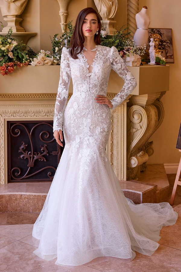 Celestine — Long Sleeve Lace Mermaid Wedding Dress