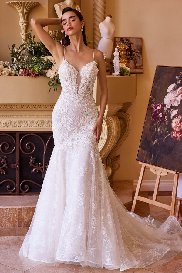 Aurora —- Romantic Lace Fit and Flare mermaid wedding dress