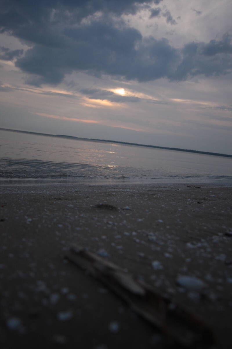 A still evening on the lake