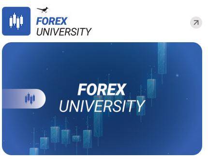 Forex
