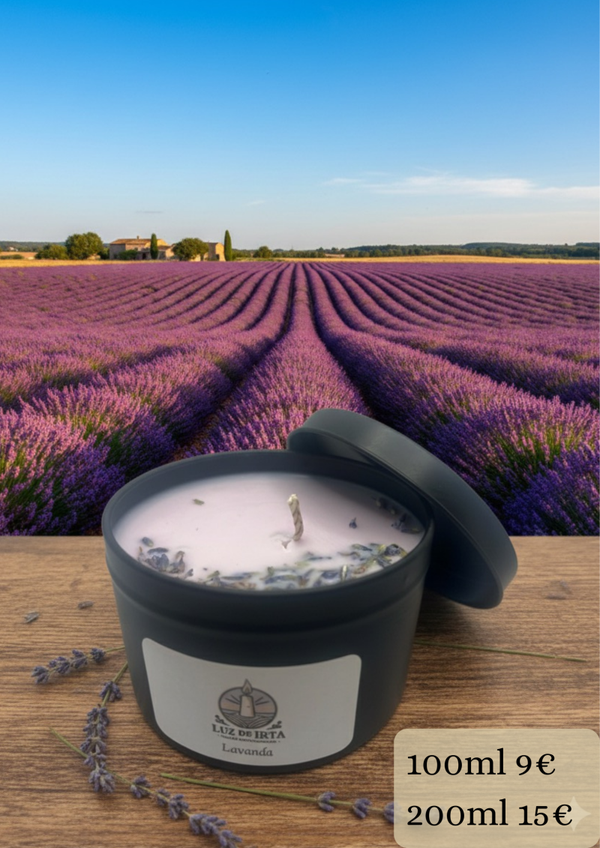 Lavanda