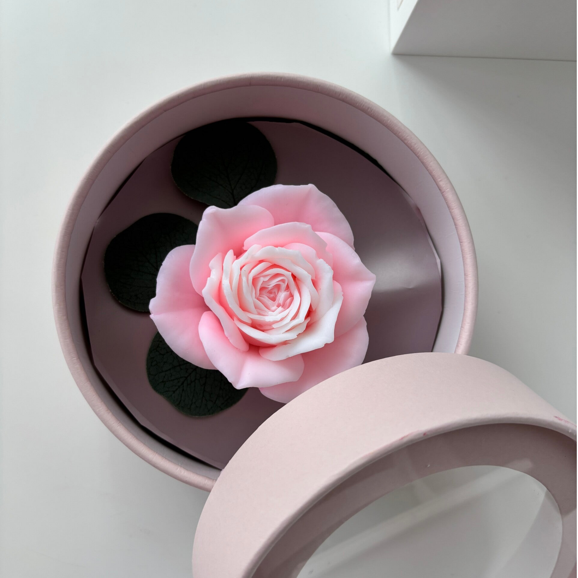 Seifenrosa im Rundbox