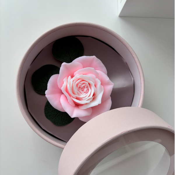 Seifenrosa im Rundbox
