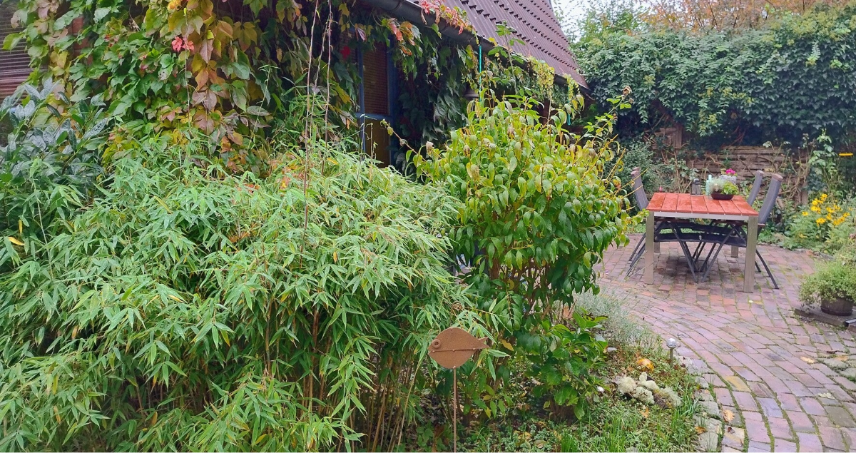 Therapie Garten Oldenburg