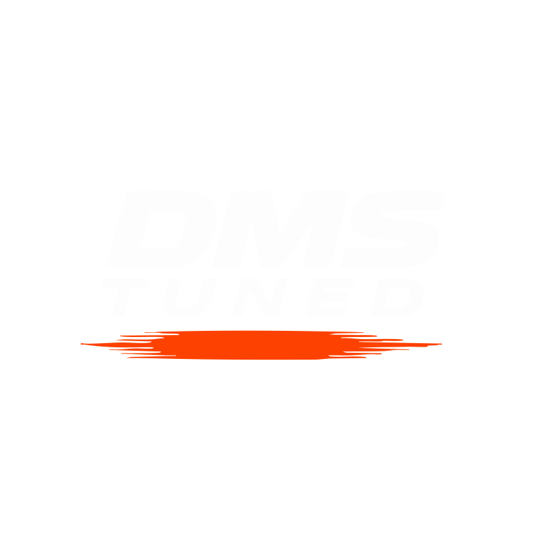 final-final-logo-dms-best-quality-white-standard.png
