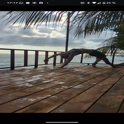screenshot_20250809-171726-standard.png