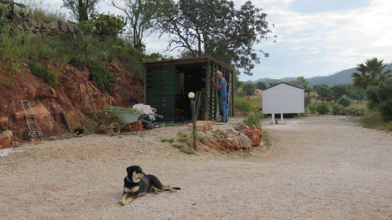 No, Molly is not helping