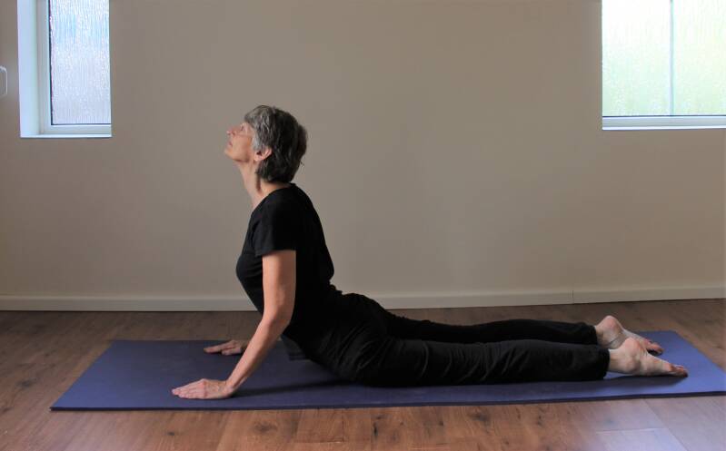 houding de cobra in hathayoga