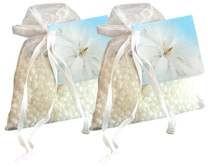 2x 'Boles d'olor Gardenia'