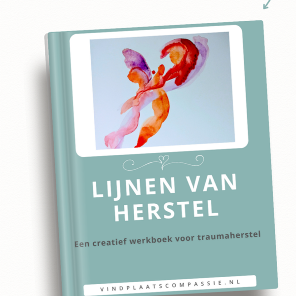 Lijnen van herstel. E-Werkboek tekenen.