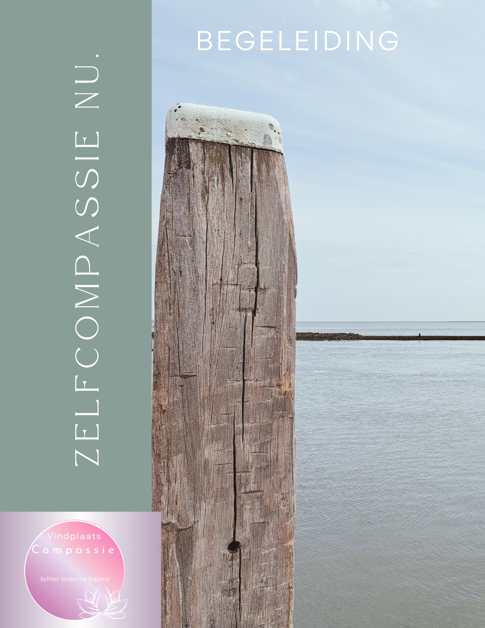 Zelfcompassie nu.