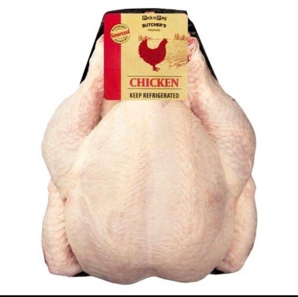 Pollo