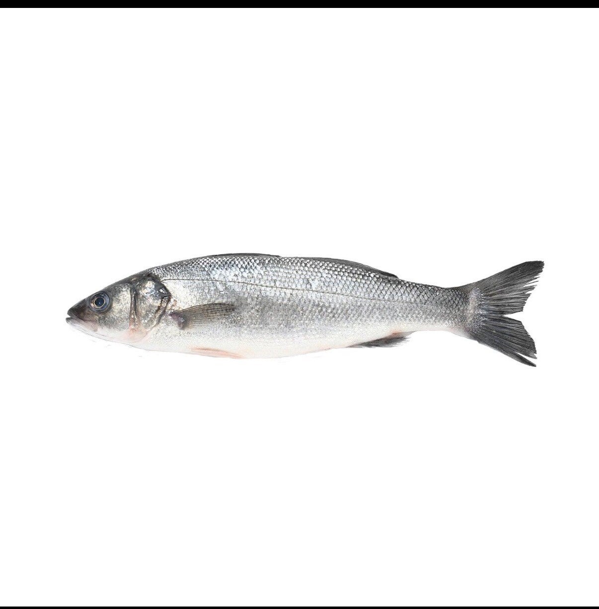 Pescado