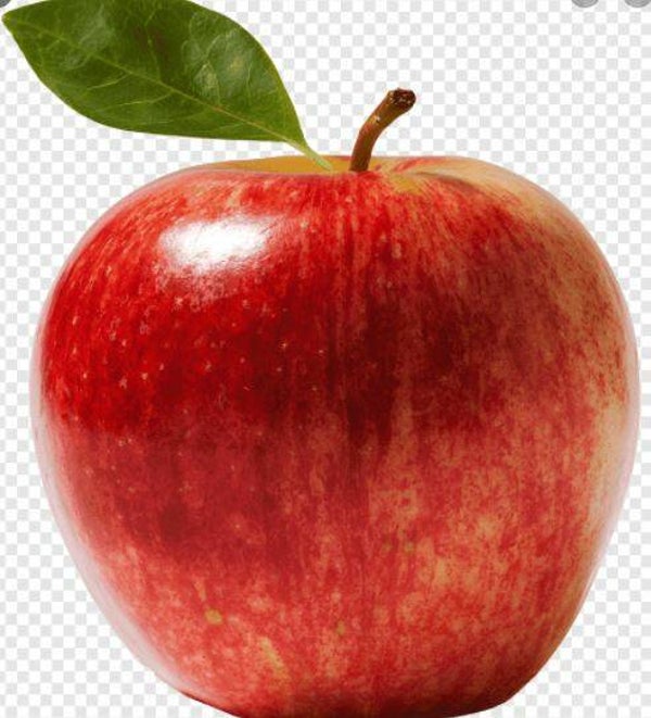 APFEL