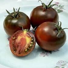 Tomates	Black prince