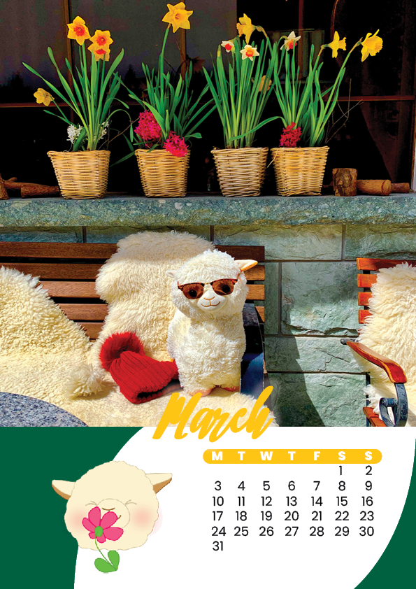 paco-kalender14-standard.png