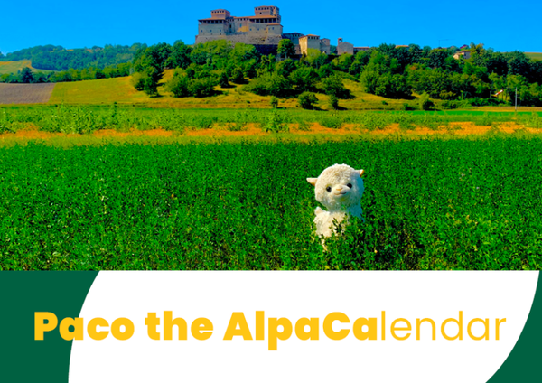 Paco the Alpacalendar - Birthdays