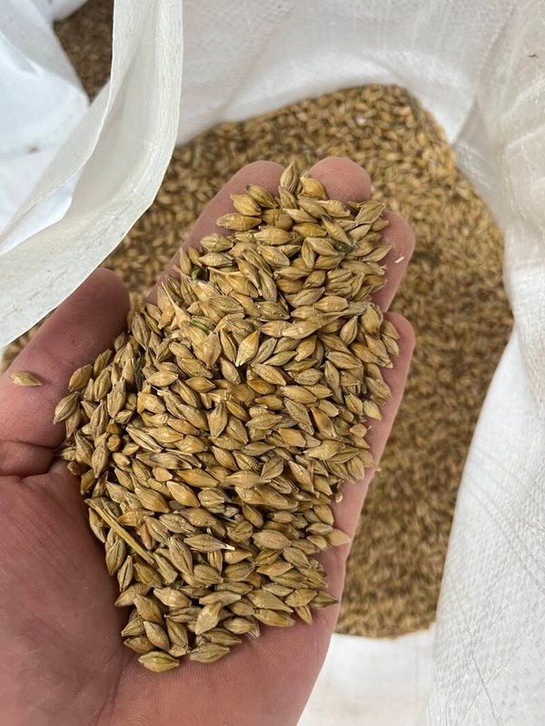 Whole Feed Barley 25kg