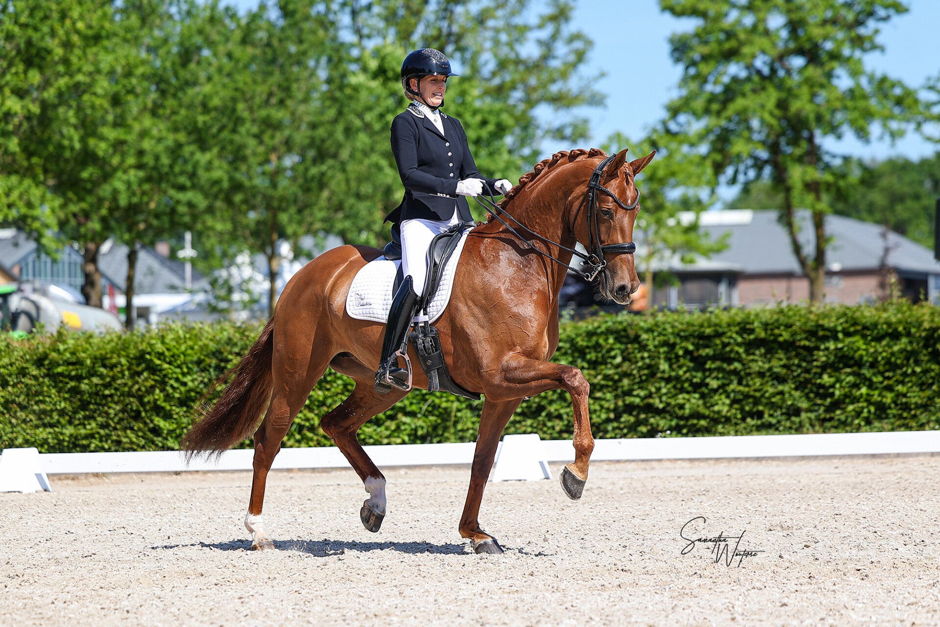 img_7361-kopie-standard-8ku6vt.jpg