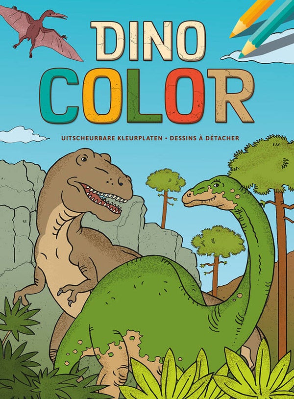 Dino Color kleurblok