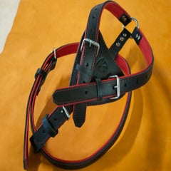 img20240103153400-1.jpg