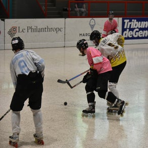 dsc_8578-standard.jpg