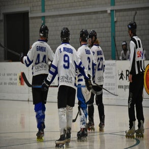 dsc_8703-standard.jpg