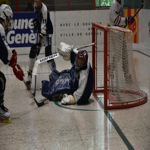 dsc_8916-standard.jpg