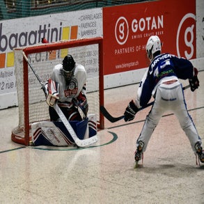 dsc_9096-standard.jpg